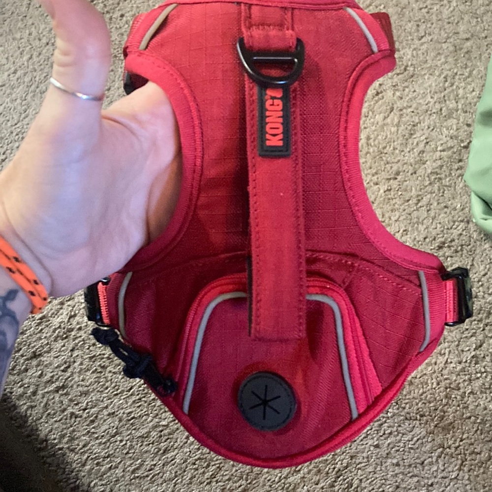 Red kong harness with poop bag storage